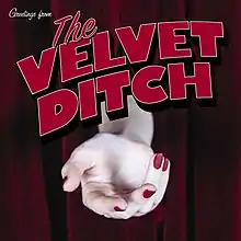 Hand reaching out cover art for "The Velvet Ditch"