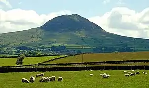 Slemish from Buckna