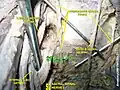 Sacral spinal nerve 1