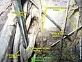 Sacral spinal nerve 2