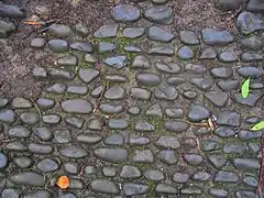 Cobbles