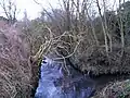 8. Confluence with Graiseley Brook in Smestow Valley Local Nature Reserve