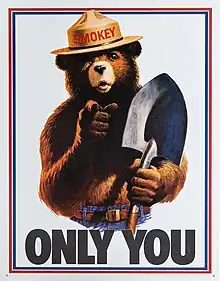 United States 1985 Smokey Bear poster.  The "Only You" refers to the character's slogan, "Only You Can Prevent Forest Fires"