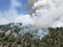 Snake Ridge Fire burning on May 28, 2017