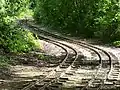 Dual track in the forest