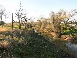 Oyster Creek at the FM 290 bridge