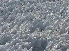 Small penitentes in the summit crater of Mount Rainier.