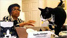 Socks with Betty Currie, President Clinton's secretary