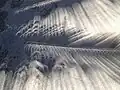 Eclipse shadows from a coconut leaf shadow. From Tarawa, Kiribati at 0:30 GMT