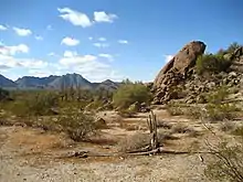 Image 18The Sonoran Desert 35 miles (56 km) west of Maricopa, Arizona (from Geography of Arizona)