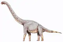 Sonorasaurus