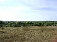 View of the flood land of the Khopyor River from the Sosnovka cemetery. 2009