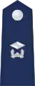 Junior lieutenant