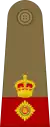 Lieutenant-Colonel