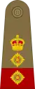 Colonel