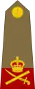 Lieutenant-General