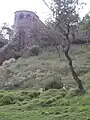 Lions in the hill enclosure