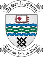 Coat of arms of South Dublin