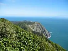 View from Tūteremoana, looking south along the steep cliffs towards Kaiwharawhara Point