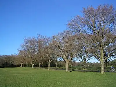 Image 28Trees on Southampton Common in winter (from Portal:Hampshire/Selected pictures)