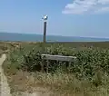 The reserve entrance, with Herring gull