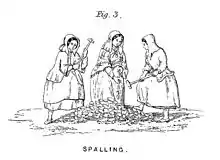 Image 41Bal maidens at work, showing traditional dress (from Culture of Cornwall)