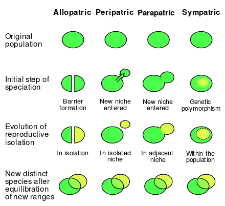 Image 27Comparison of allopatric, peripatric, parapatric and sympatric speciation (from Speciation)