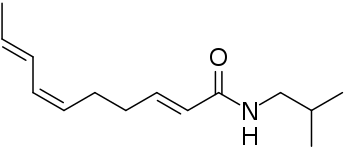 Spilanthol: (2E,6Z,8E)-deca-2,6,8-trienoic acid isobutyl amide