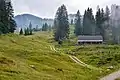 Alpine pasture Schmiedalm