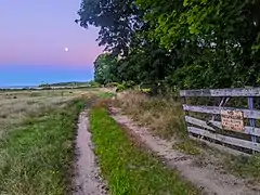 'Marders pollinaters sanctuary Bee pollinators sanctuary Springs, Long Island,