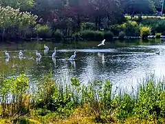 Pussy's Pond Park Town Pond at Amagansett trail Springs, Long Island,