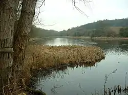 View of Sprotbrough Flash