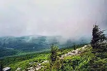 Image 8The summit of Spruce Knob is often covered in clouds. (from West Virginia)