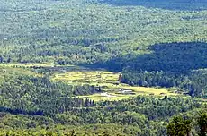 View of the St. Regis River from the Azure Mountain fire tower