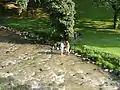 Jeker river passing through Maastricht citypark