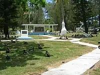 Memorial signs with nesting albatrosses and a statue of a large albatross