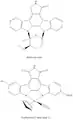 Staurosporine and Ruthenium Compound 12