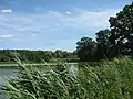 One of the fish ponds alongside the stream, in Dębowiec