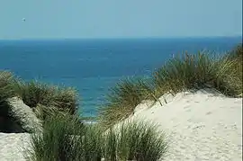 Beach at Stella from the dunes