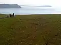 Stepper Point (with Trevose Head in the distance, right), viewed from Pentire Farm.