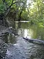 Stevens Creek flowing through the McClellan Ranch Park