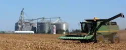 Agricultural scene west of Stewart