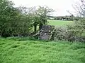 Ranaghan Westmeath Mass-path Stile