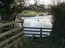 Croft Pasture