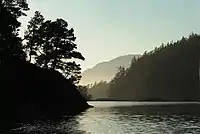 An inlet leading into the mainland, with trees lining the shore on either side