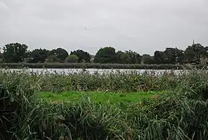 Woodberry Wetlands