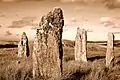 image of 4 of the stones from Callanish IV