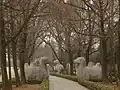 Camels along the "Elephant Road"