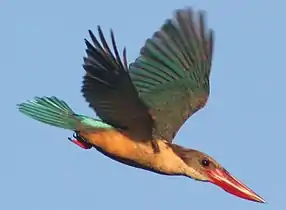 In Kumarakom, Kerala, India.