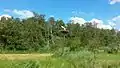 Two white storks on their nest